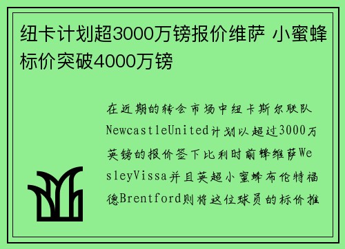纽卡计划超3000万镑报价维萨 小蜜蜂标价突破4000万镑